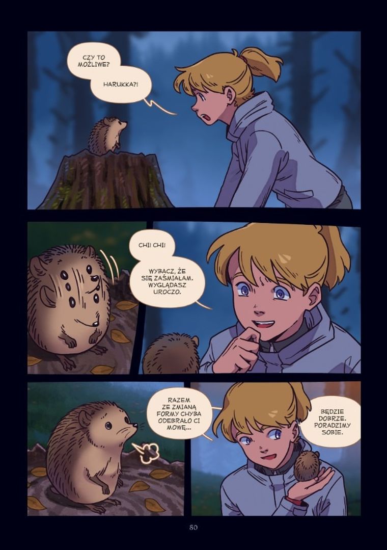 Światła Północy. Tom 7. Życzenie Harukki