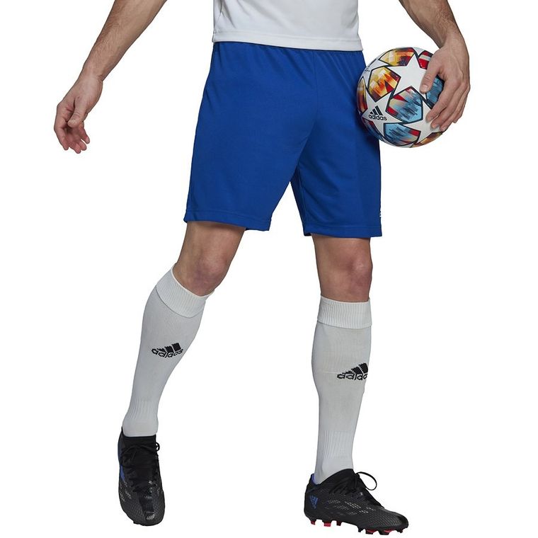 Szorty męskie, niebieskie, Adidas Entrada 22 Short