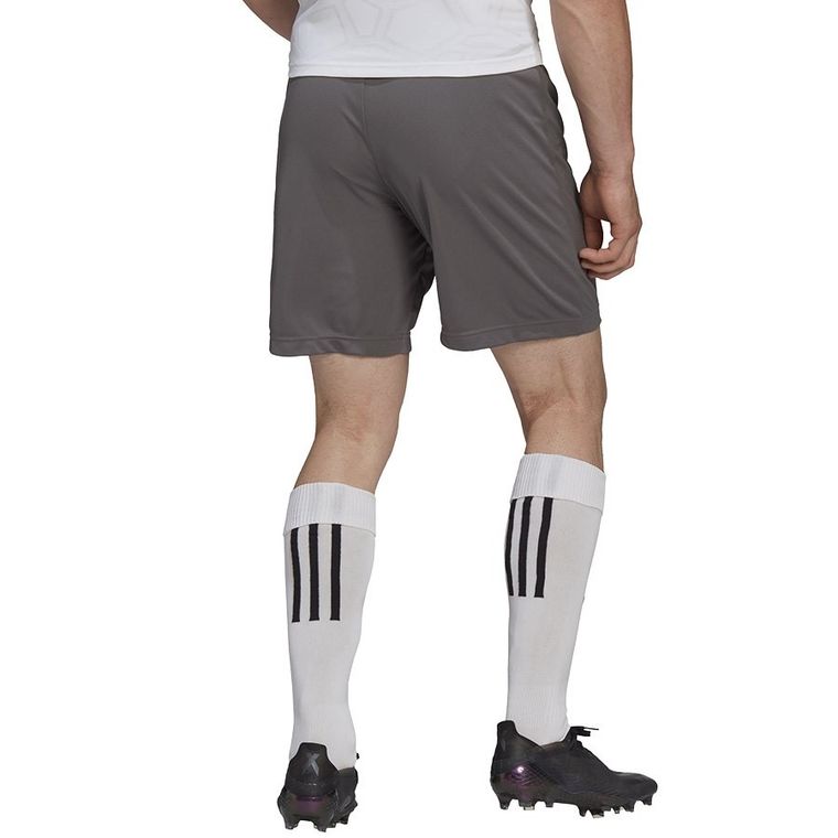 Szorty męskie, szare, Adidas Entrada 22 Short