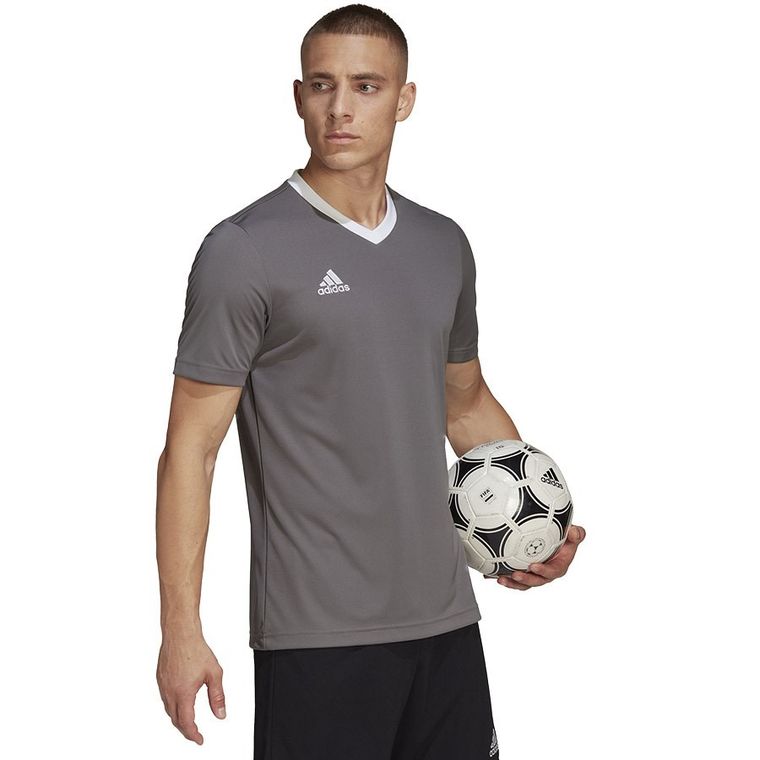 T-shirt męski, szary, Adidas Entrada 22 JSY