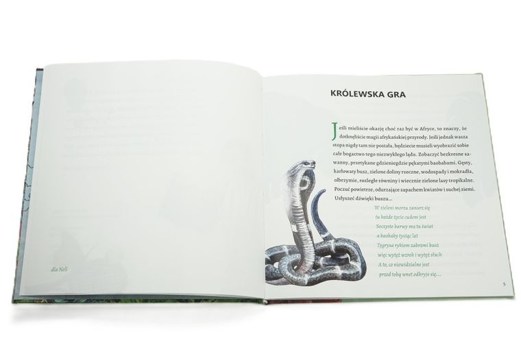 Tam, gdzie mieszkają bajki 2