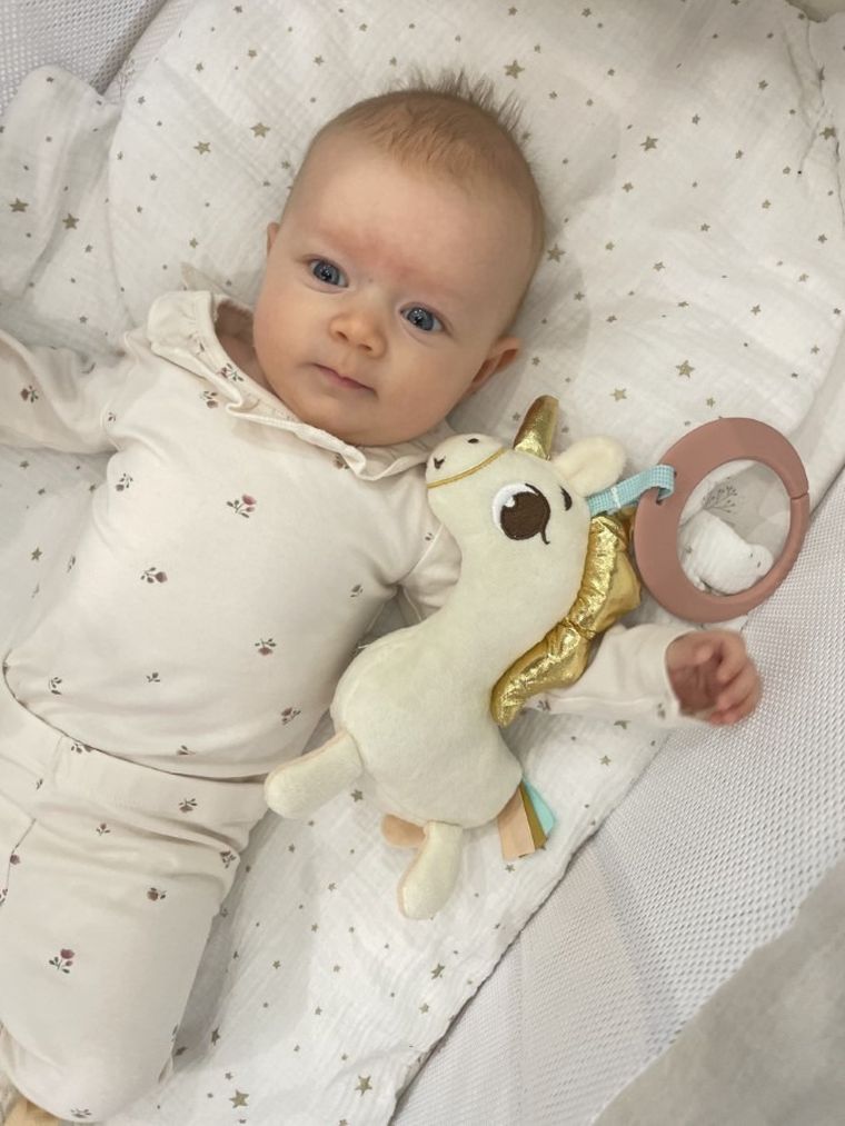 Tiny Love, Kraina Jednorożca, Tiny Smarts, zawieszka z pozytywką