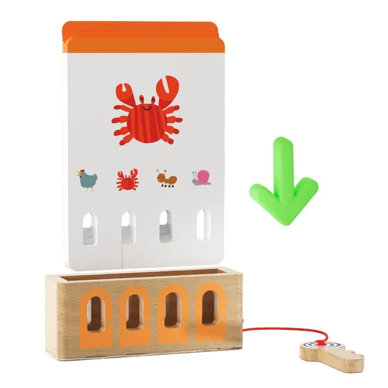 Topbright, Logiczne łamigłówki, gra edukacyjna, poziom podstawowy
