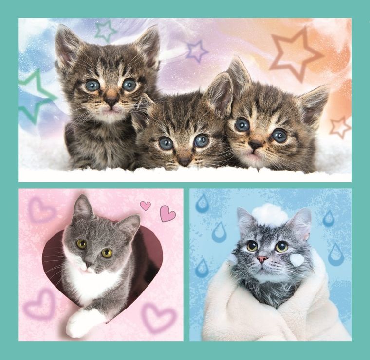 Trefl, Słodkie zwierzaki, puzzle 3w1