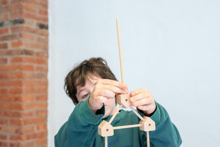 Trigonos, Mini Trigonos XL, drewniane klocki konstrukcyjne, 550 elementów