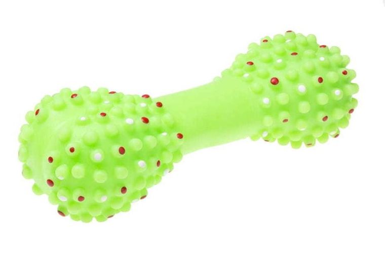 Tullo, kość z kolcami, zabawka piszcząca dla psa