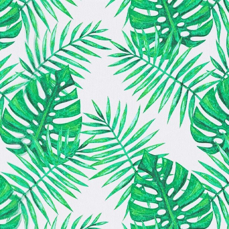 Vilde, cerata plamoodporna, liście, 180-130 cm