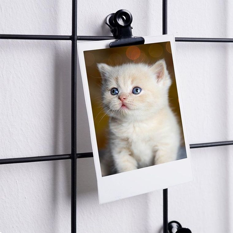 Vilde, kratka na zdjęcia, metalowa czarna, 58-36 cm