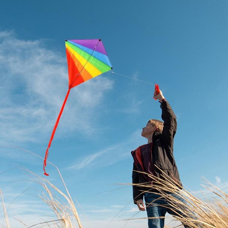Vilde, latawiec tęczowy, 87-81 cm