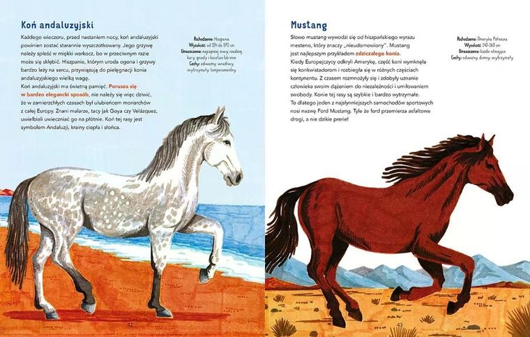 W galopie! Ilustrowana księga koni
