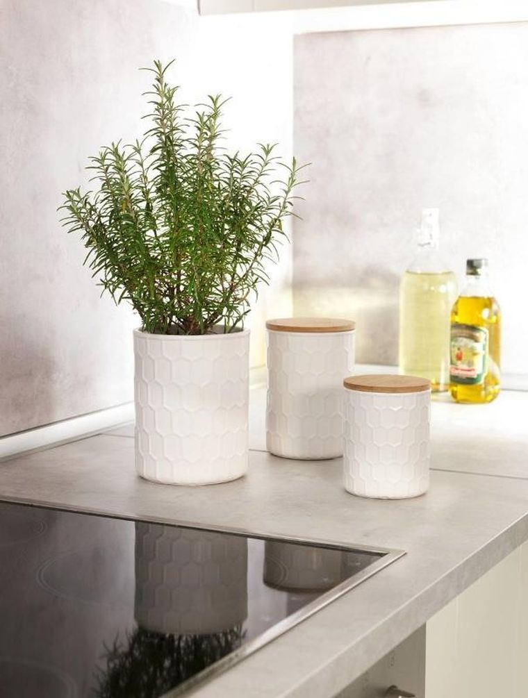 Wenko, pojemnik na produkty sypkie, Maya