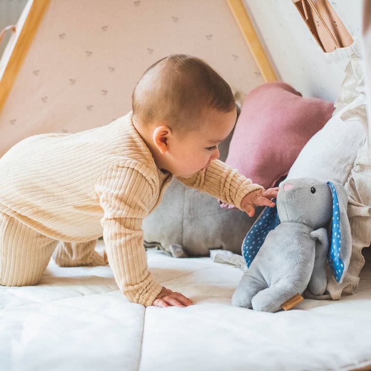 Whisbear, Felek, Królik, szumiąca maskotka, szara