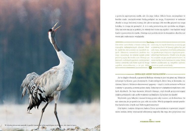 Wielka Księga Prawdziwych Tropicieli