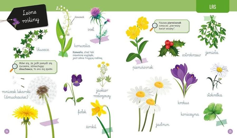 Wielka księga przyrody