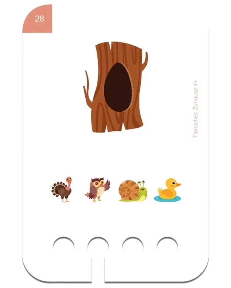 WiemTo, Gdzie Mieszkają Zwierzęta, karty edukacyjne, 4+