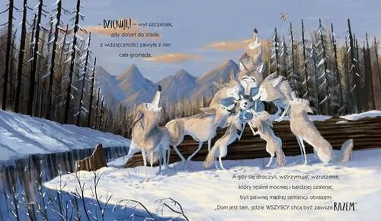 Wilk, który się zgubił