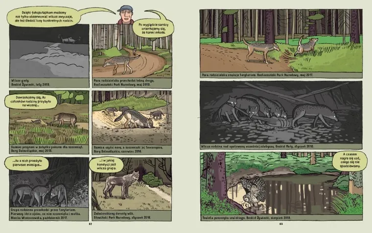 Wilki. Historie prawdziwe