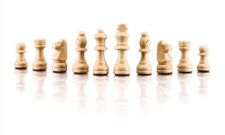 Woodyland, szachy magnetyczne, gra logiczna