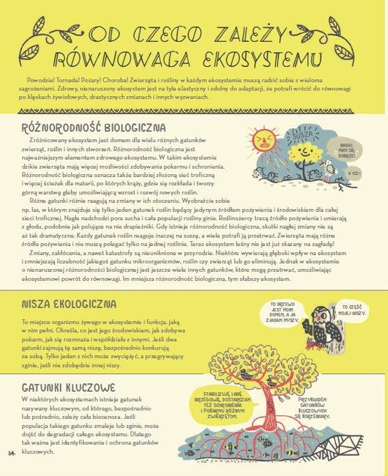 Wspaniała planeta Ziemia i jej przyroda