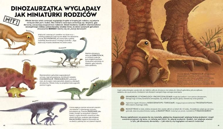 Wszystko, co chcesz wiedzieć dinozaurach. Fakty i mity