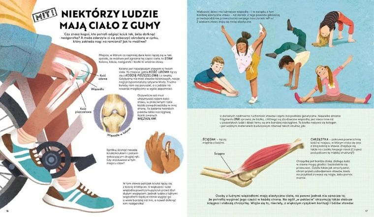 Wszystko, co chcesz wiedzieć o ciele człowieka. Fakty i mity