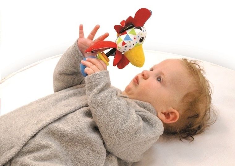 Yookidoo, Kogut, muzyczna grzechotka