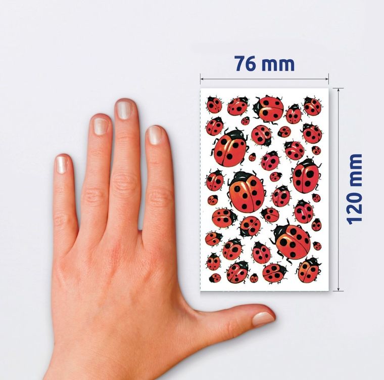 Z-Design, naklejki papierowe, biedronki 2