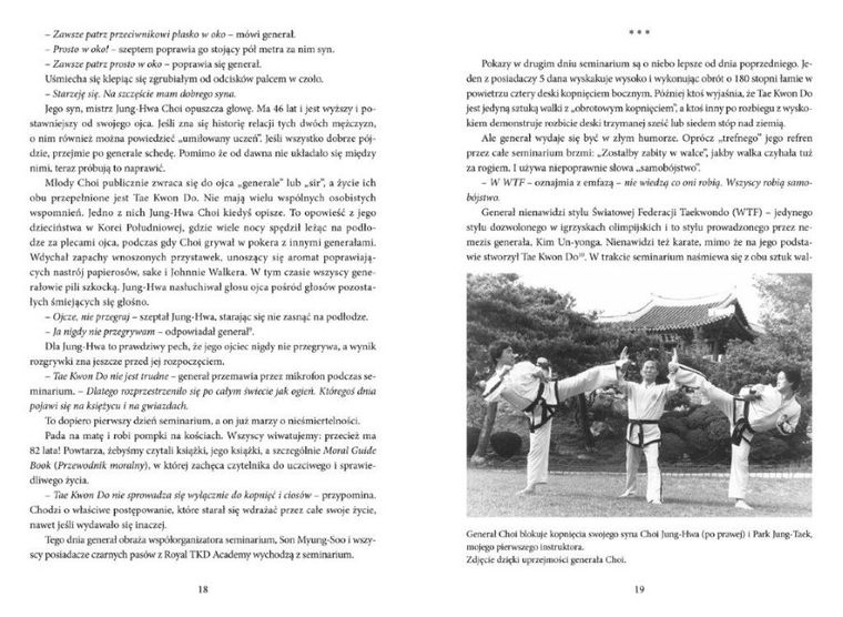 Zabójcza sztuka walki