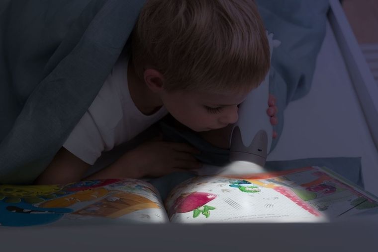 Zazu, Gina, Żyrafa, lampka z latarką, Grey