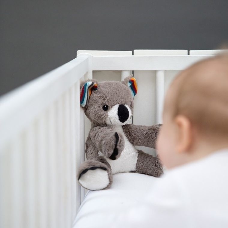 Zazu, Koala, maskotka z mechanizmem szumiącym