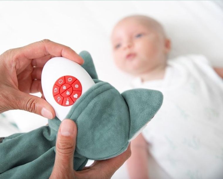 Zazu, Lis Felix, szumiąca maskotka