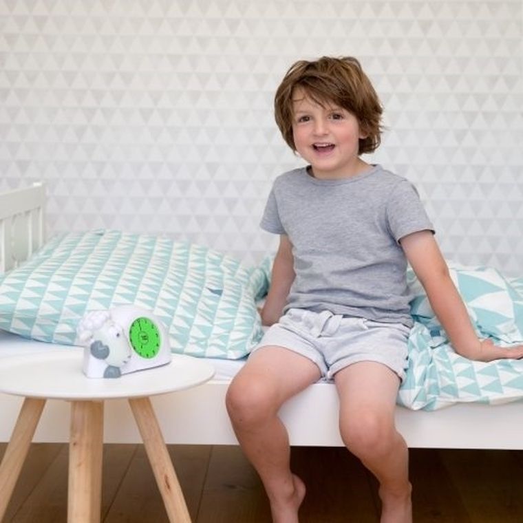 Zazu Sam, Trener snu i światełko nocne, szary