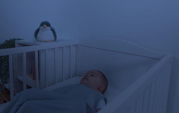 Zazu, Shally, projektor zachodzącego słońca, ptaszek