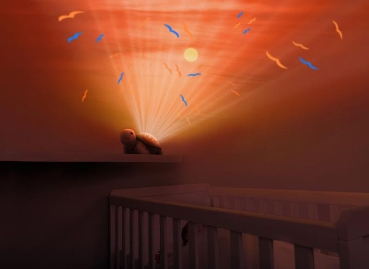 Zazu, Tim, projektor zachodzącego słońca, żółw