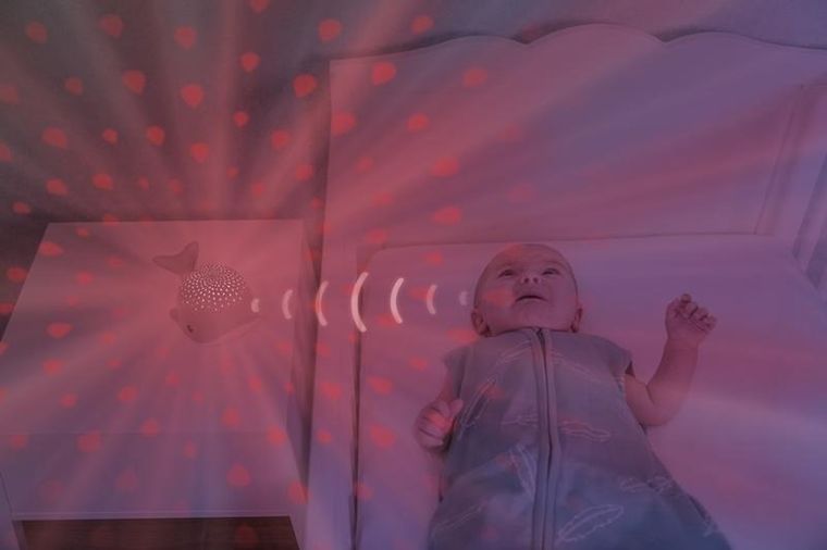 Zazu, Wally, projektor wieloryb, Green