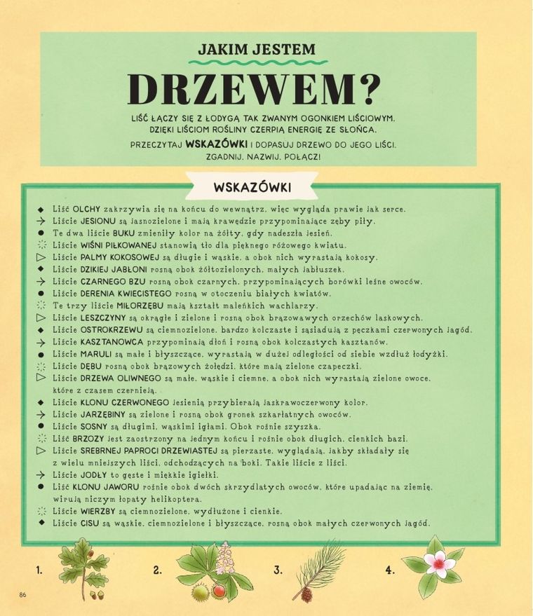 Zgadnij. Nazwij. Połącz!