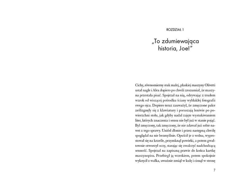 Zmącony spokój Pani Labiryntu