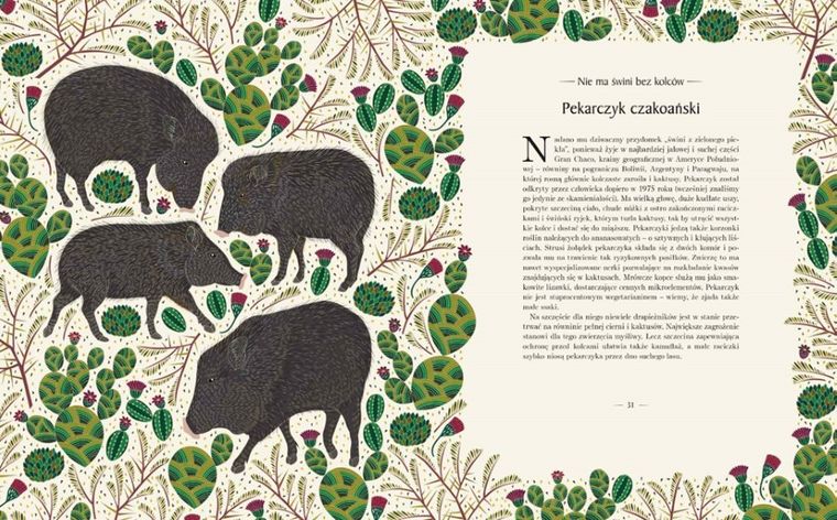 Znikające królestwo. Przewodnik po świecie