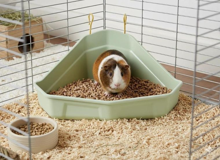 Zolux, Cosy, toaleta narożna dla królika i kawii, zielona