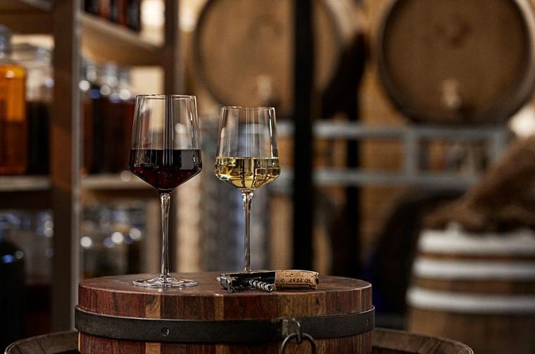 Zone Denmark, Rocks, kieliszek do białego wina, 300 ml, 2 szt.