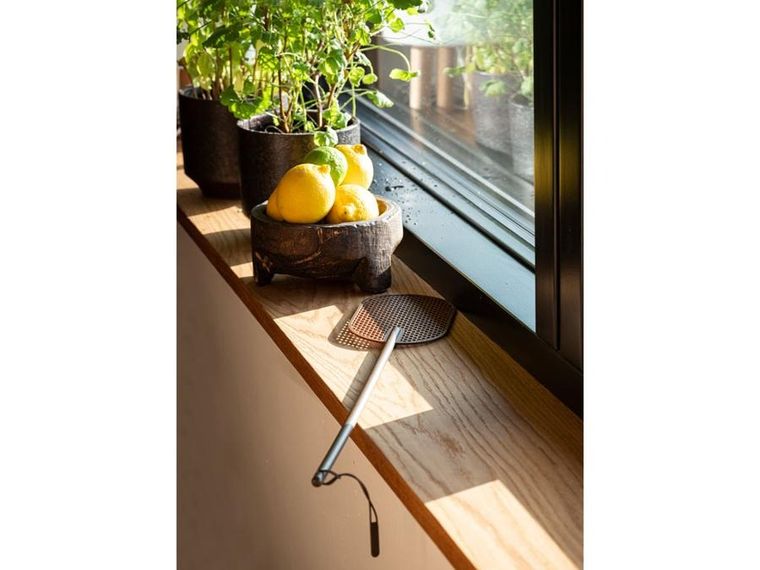 Zone Denmark, Singles, łapka na muchy, Cocoa Brown