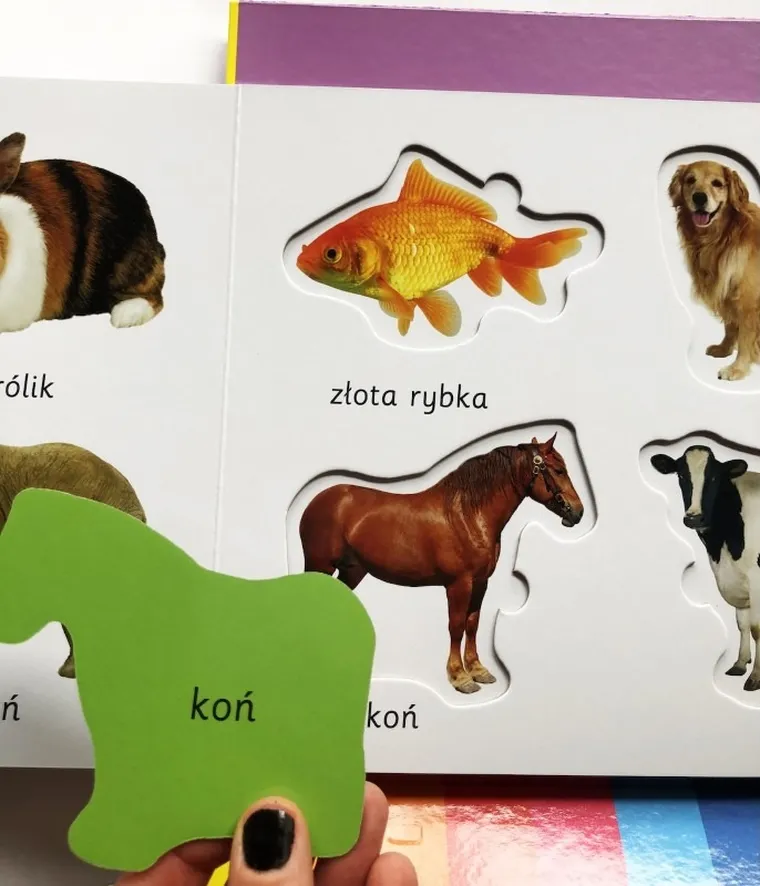 Zwierzęta. Akademia mądrego dziecka. Kolorowy świat malucha