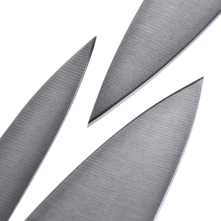 Zwilling, Professional, zestaw 3 noży, 35602-000-0