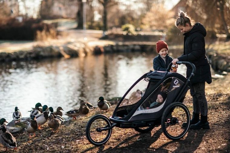 Hamax, Cocoon, przyczepka rowerowa, podwójna, Grey/Black