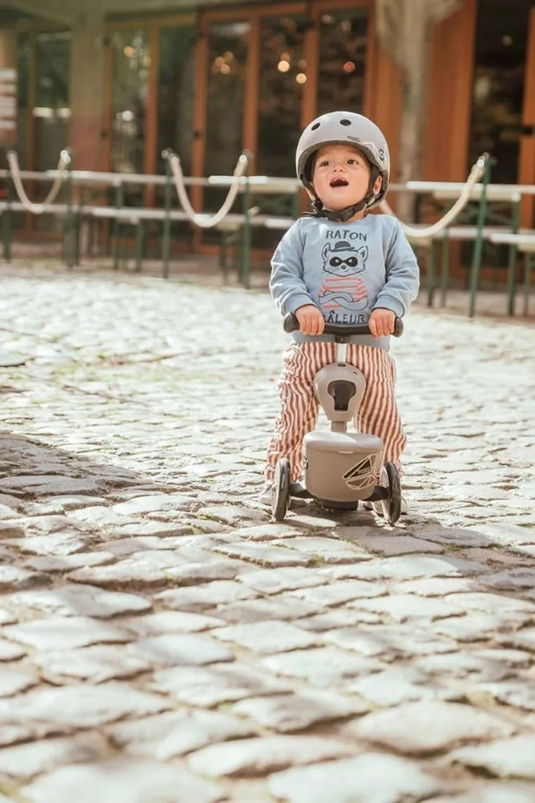 Scoot & Ride, Highwaykick 1, Lifestyle, jeździk i hulajnoga 2w1, Brown Lines