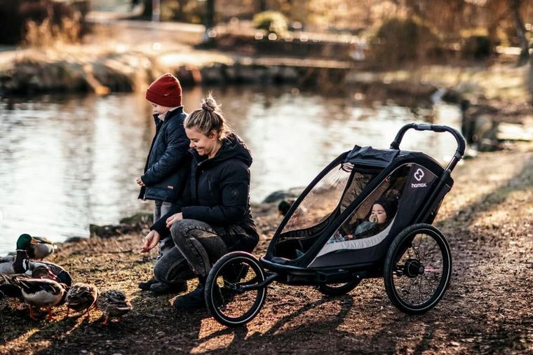 Hamax, Cocoon, przyczepka rowerowa, podwójna, Grey/Black