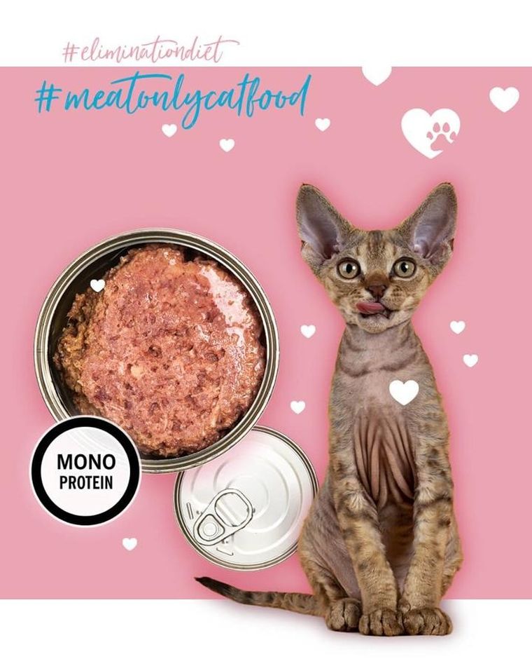 3coty, indyk, karma mokra dla dorosłych kotów, 80g