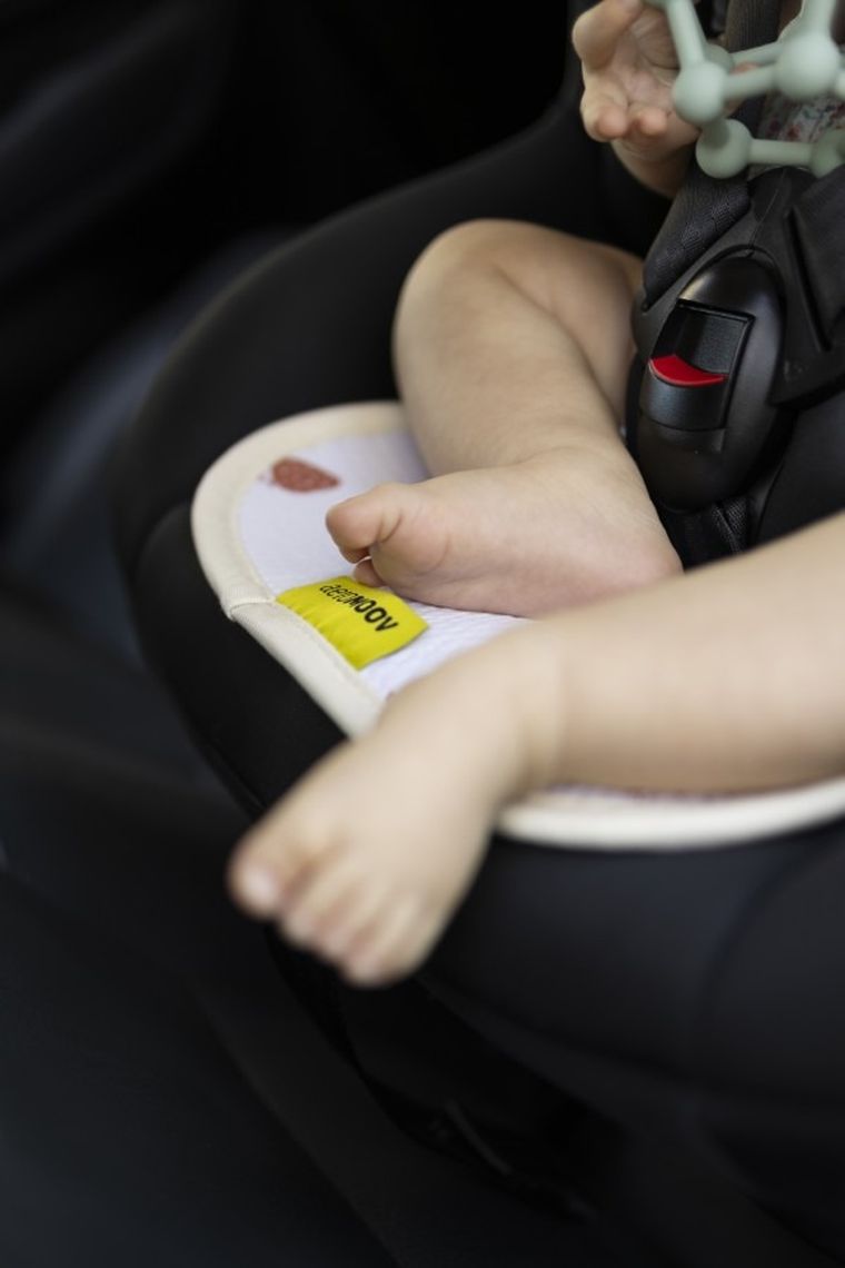 Aeromoov, Truskawki, wkładka antypotowa do fotelika, 9-18 kg