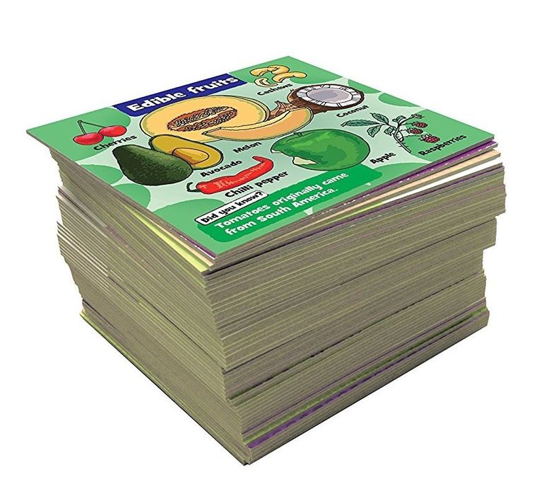 Albi, BrainBox, Nature, gra edukacyjna