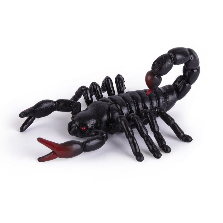 Apli Kids, Insekty, zestaw gniotków sensorycznych, 6 szt.